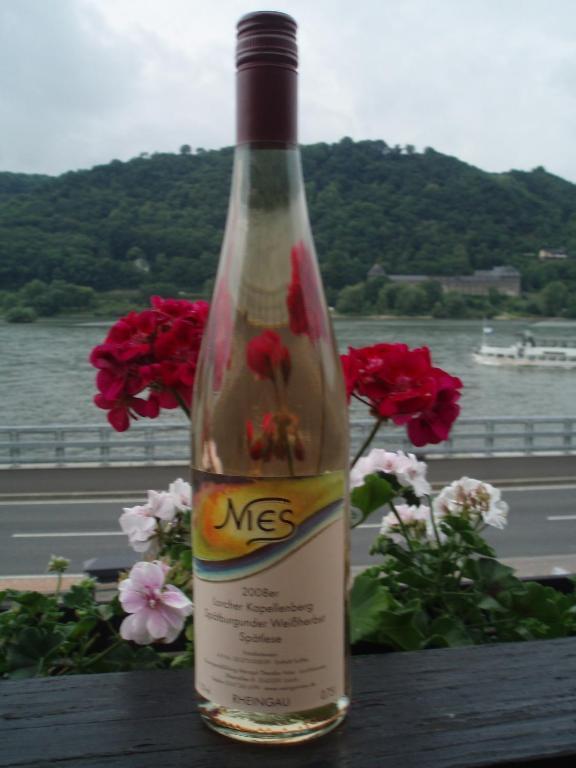 Weingut Theodor Nies Διαμέρισμα Lorch am Rhein Εξωτερικό φωτογραφία