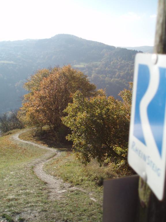 Weingut Theodor Nies Διαμέρισμα Lorch am Rhein Εξωτερικό φωτογραφία