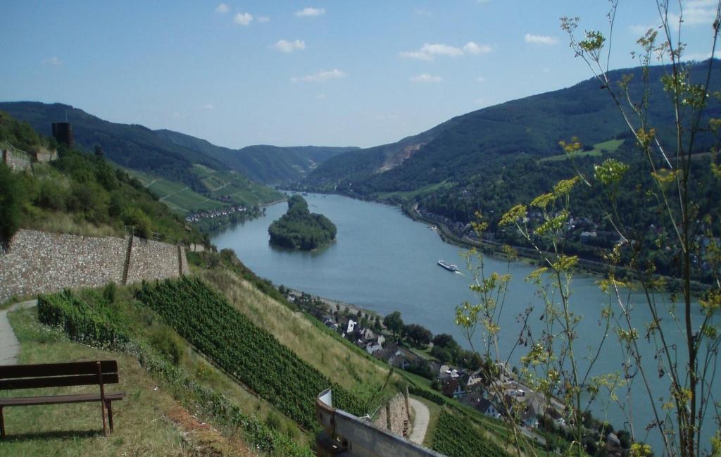 Weingut Theodor Nies Διαμέρισμα Lorch am Rhein Εξωτερικό φωτογραφία