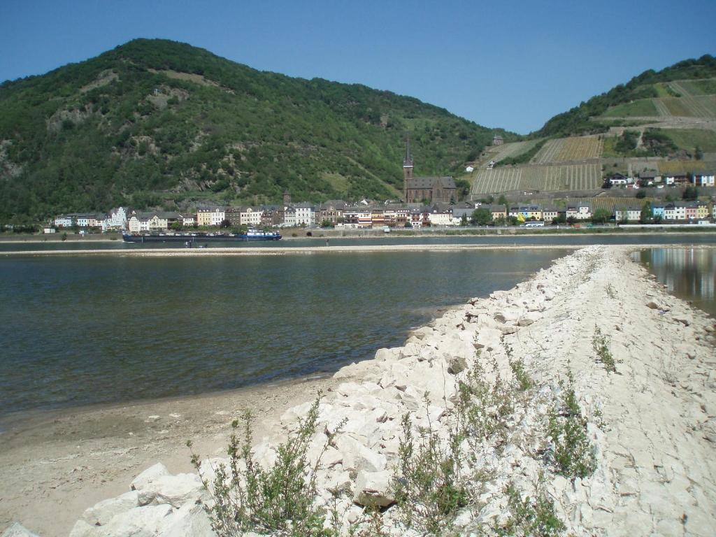 Weingut Theodor Nies Διαμέρισμα Lorch am Rhein Εξωτερικό φωτογραφία